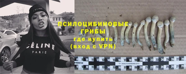 ГАЛЛЮЦИНОГЕННЫЕ ГРИБЫ Новодвинск
