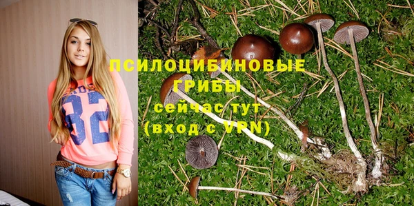 ГАЛЛЮЦИНОГЕННЫЕ ГРИБЫ Новодвинск