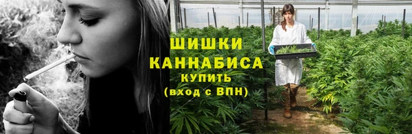 ГАЛЛЮЦИНОГЕННЫЕ ГРИБЫ Новодвинск