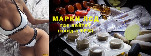 ГАЛЛЮЦИНОГЕННЫЕ ГРИБЫ Новодвинск
